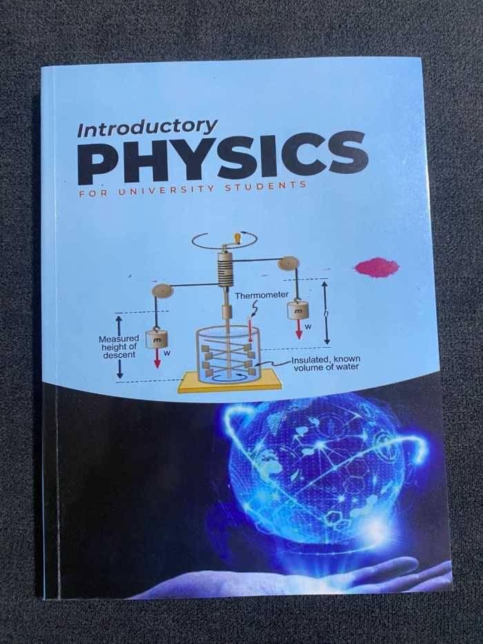 Introductory Physics