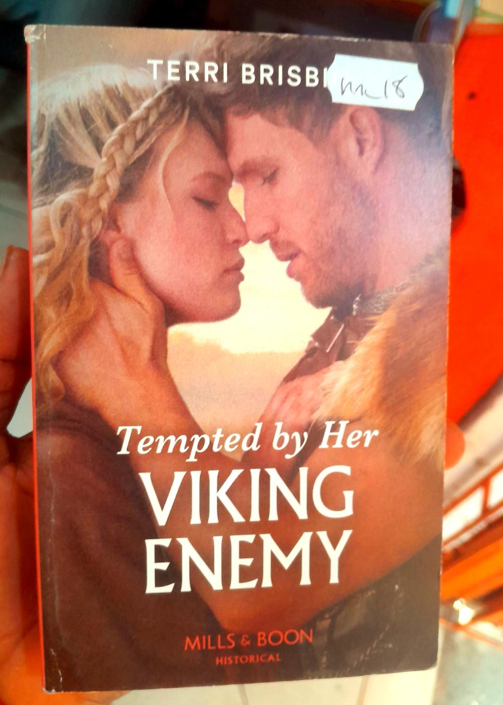 Cover of Tempted by Viking enemy 