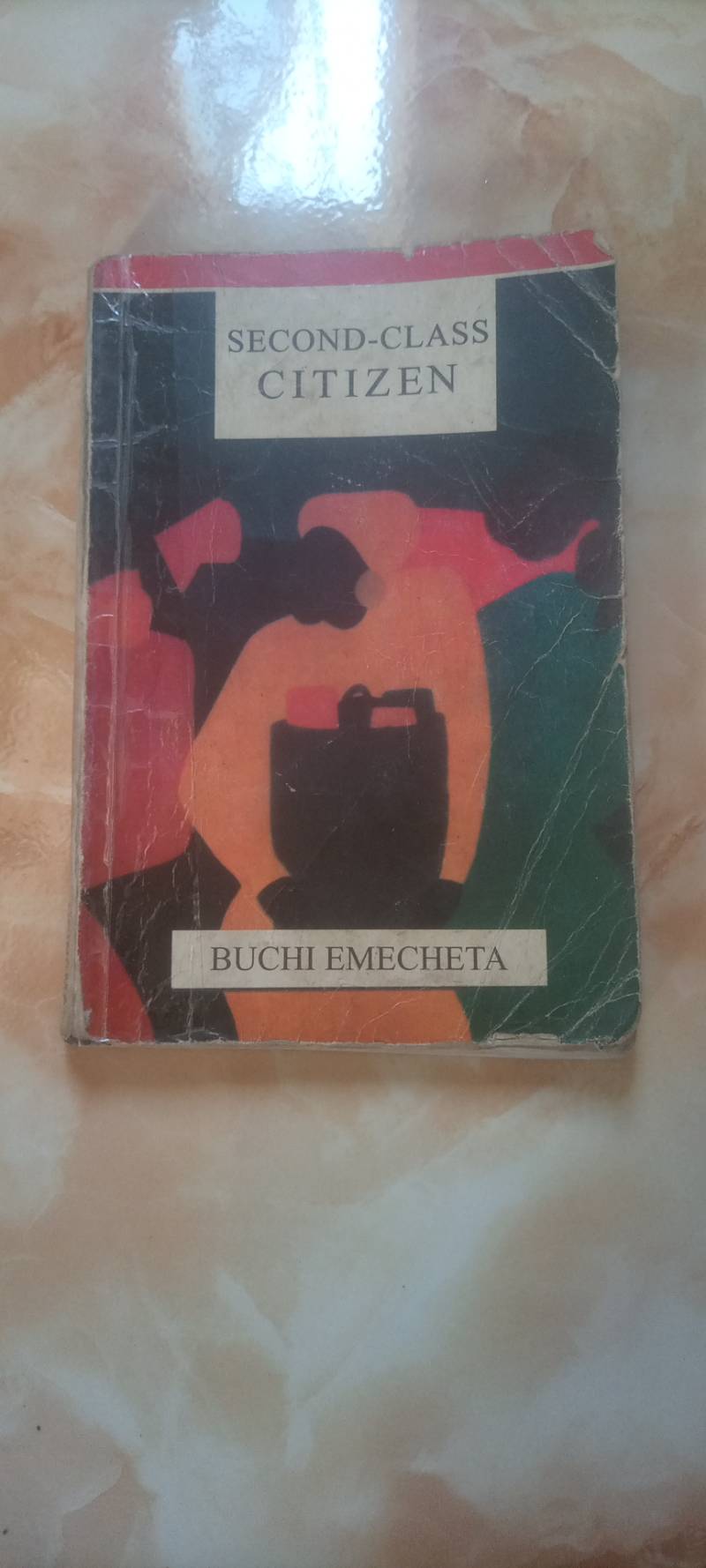 Cover of Second-Class Citizen